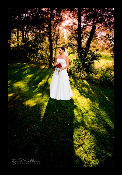 20081011_1169_MG_1104_RC 20081011_1169_MG_1104_RC
